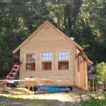 Shed Removal