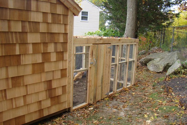Bring the Farm to Your Backyard with a Custom Chicken Coop