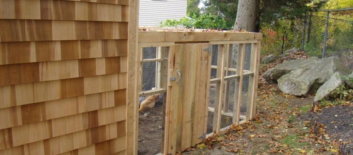Bring the Farm to Your Backyard with a Custom Chicken Coop